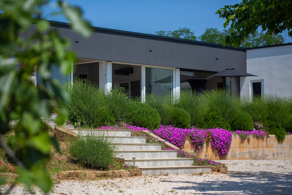 A tapestry of native plants: St. Ana heritage garden